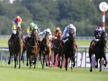 Saturday's Placepot comes from Haydock